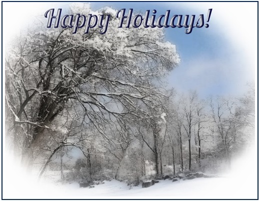 Holiday Cards 2020 | Don's Reports and Reflections